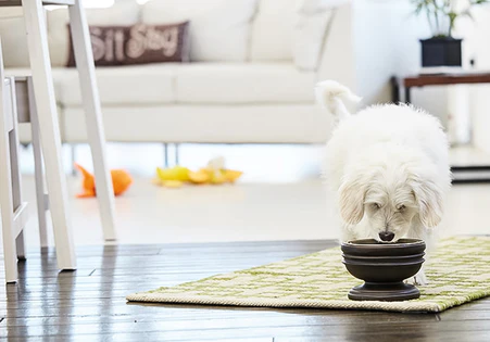 For small pets